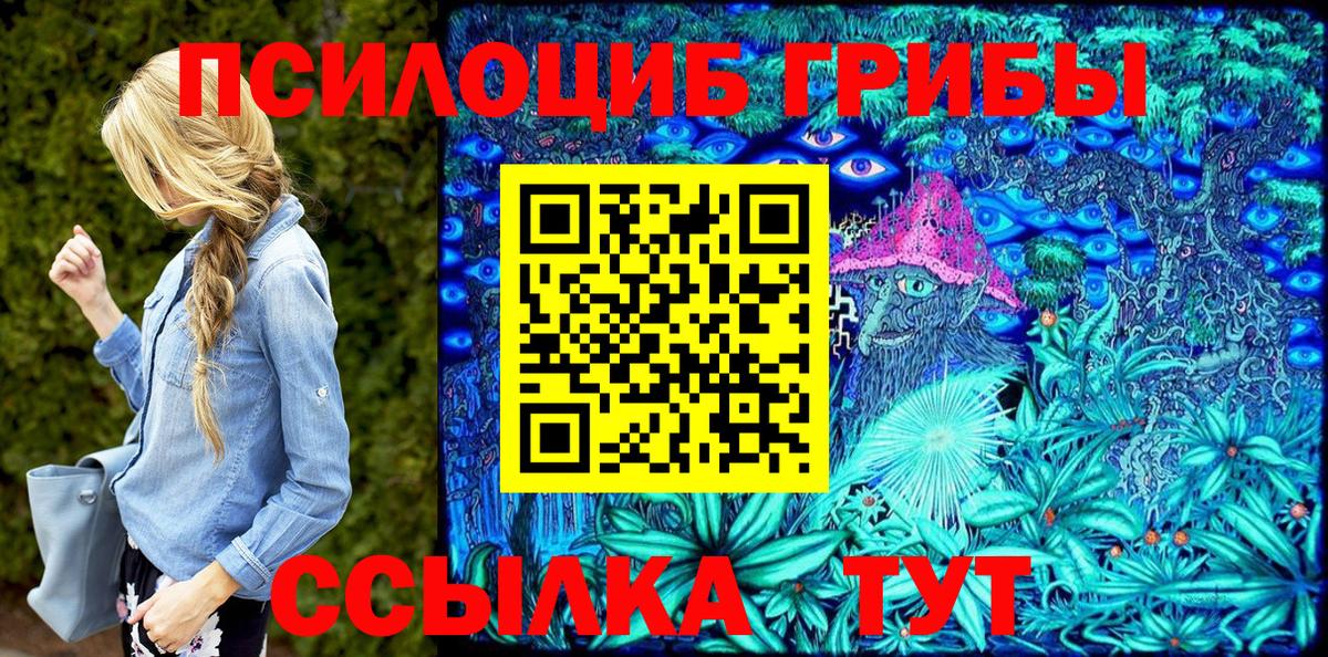 Псилоцибиновые грибы Psilocybine cubensis Орёл